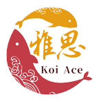 锦鲤雅思